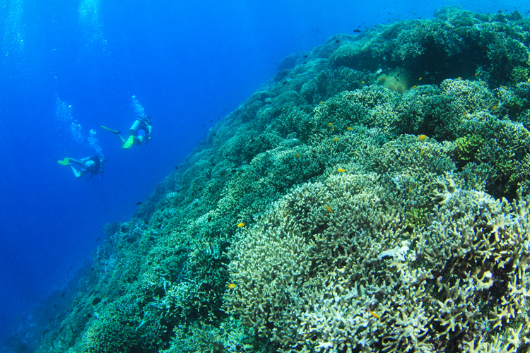 beautiful ocean after the war